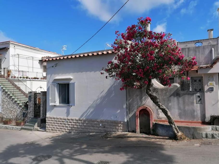Sweet Home, Anacapri Extérieur photo